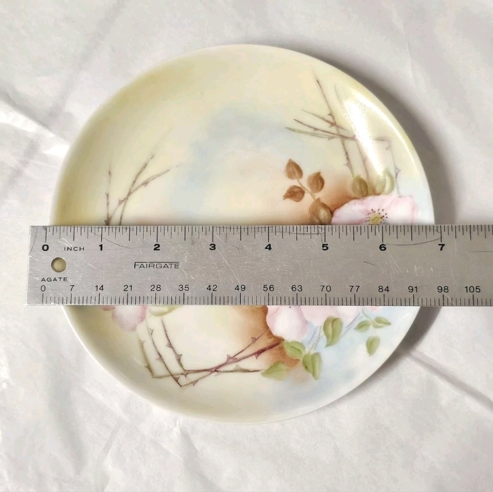 Collectible Vintage "Favorite" Hand Painted Porcelain Bavaria Floral Plate - Picture 3 of 7